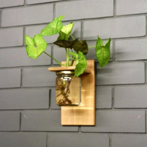 Wall Mounted Planter-Single Jar