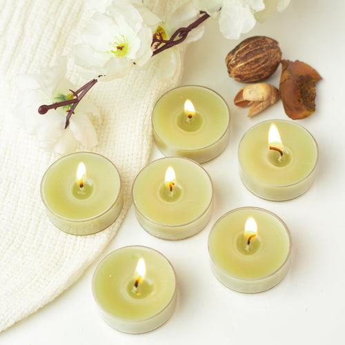 Bulk Buy AuraDecor Pack of 6 Acrylic Tealight Candles ( MOQ 136 Packets )