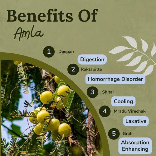 Songara Amla Powder - (Phyllanthus emblica) Best for Hair, Vitamin C Supplement, Natural Detoxifier