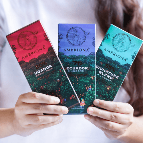 Pack of 3 Single Origin 55- 80% Dark Chocolates | Vegan | Gluten Free