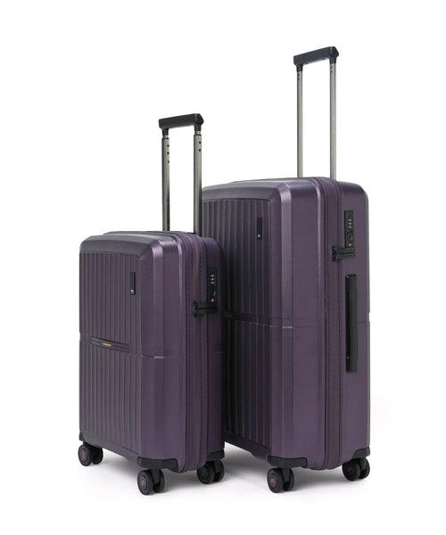 The Aviator Set of 2 Luggage