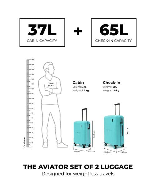 The Aviator Set of 2 Luggage