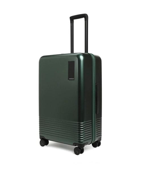 The Check-in Luggage