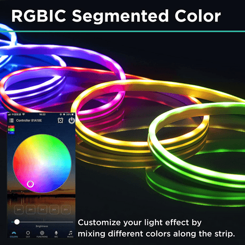 Smart RGBIC Neon Flex LED Strip Lights | Multicolor Chasing Dream Color IP67 Waterproof