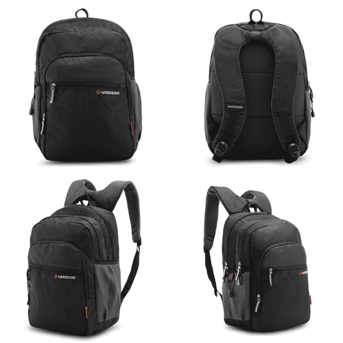 BRAVO DX - Casual Laptop Backpack