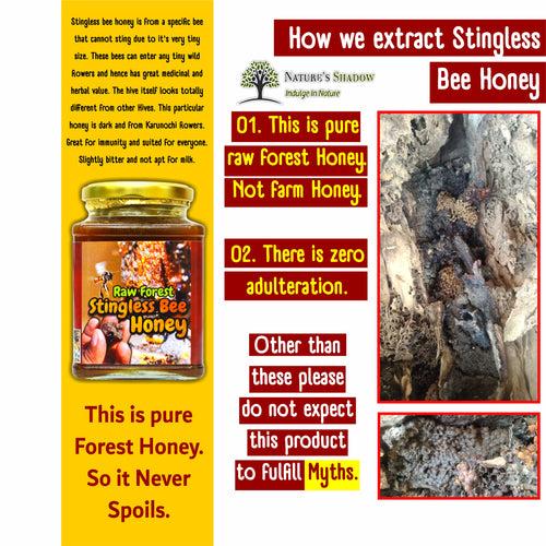 Raw Stingless Bee Forest Honey - Thalavadi Origin