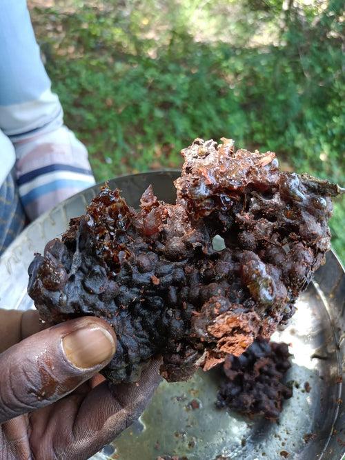 Raw Stingless Bee Forest Honey - Thalavadi Origin