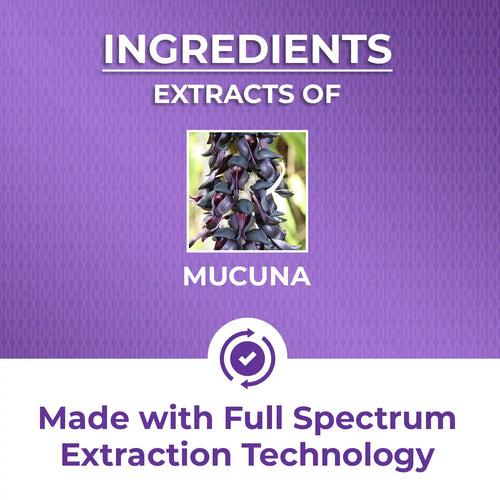 Mucuna Tablet - Vital health tonic that lowers cholesterol and stress levels