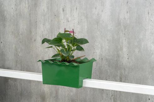 Basil Railing Plant Pot Holder for Balcony (One piece)