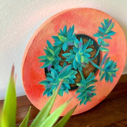 The Succulent - Painting