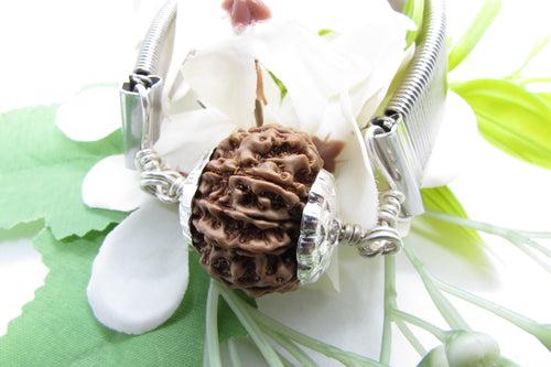 10 Mukhi Rudraksha Bracelet - Divine Protection | Brahmatells