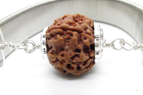 6 Mukhi Rudraksha Wisdom Bracelet | Brahmatells