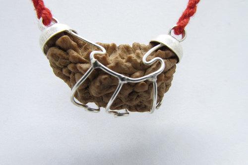 Aquarius One Mukhi Rudraksha - Astrological Harmony Pendant | Brahmatells