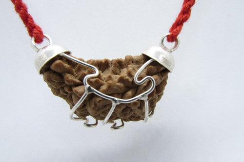 Aquarius One Mukhi Rudraksha - Astrological Harmony Pendant | Brahmatells