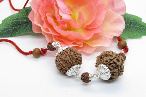 Capricorn Zodiac Rudraksh Combination - 7 Mukhi Nepal Beads for Saturn Alignment | Brahmatells