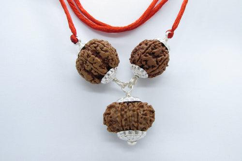 Empower Your Personality with Rudraksha Beads | Brahmatells