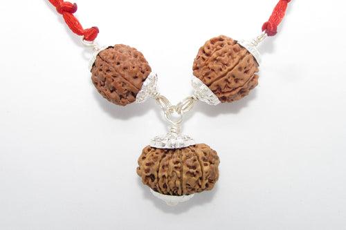 Enhance Career Prospects with Rudraksha for Salary Increment | Brahmatells