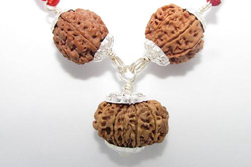 Enhance Career Prospects with Rudraksha for Salary Increment | Brahmatells