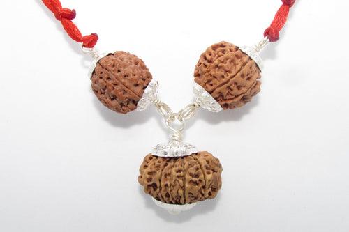 Enhance Career Prospects with Rudraksha for Salary Increment | Brahmatells