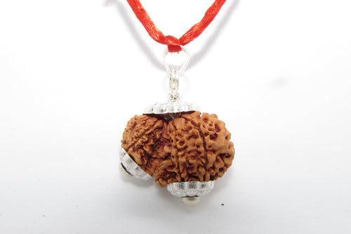 Garbh Gauri Rudraksha for Fertility | Enhance Wellness with Brahmatells