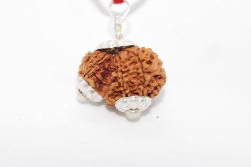 Garbh Gauri Rudraksha for Fertility | Enhance Wellness with Brahmatells