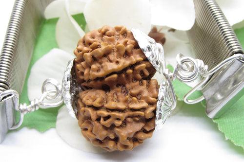 Gauri Shankar Rudraksha Bracelet with Silver Pendant - Harmony & Spiritual Connection | Brahmatells