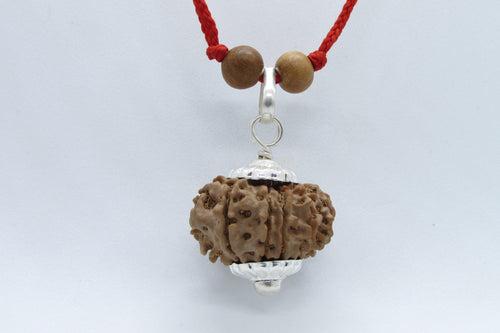 Leo Zodiac Rudraksh Power - 12 Mukhi Nepal Bead for Sun Energy | Brahmatells