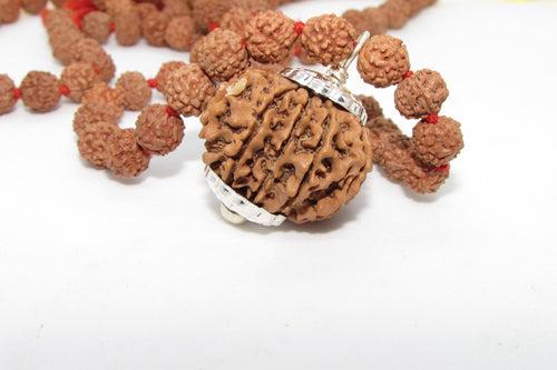 Rudraksha Car Hanging for Safe Travel - Vahan Protection | Brahmatells