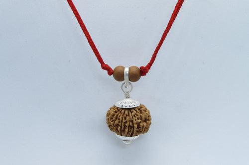 Venus-Inspired Taurus Rudraksha - 13 Mukhi Bead from Nepal | Brahmatells