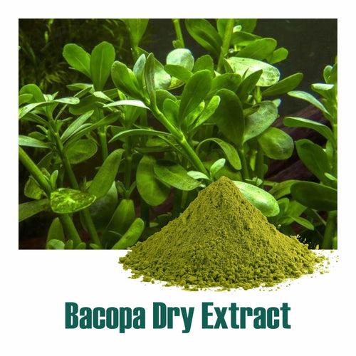 Bacopa Extract 20% Bacosides  by UV