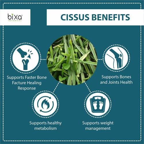 Cissus Extract (3-keto steroids - 2.5%) 450mg Veg Capsules