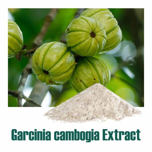 Garcinia cambogia Granules Extract 60% Ca-HCA by HPLC