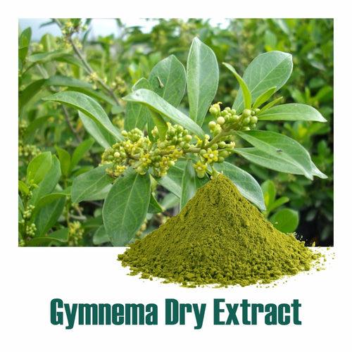 Gymnema (Gymnema sylvestre) dry Extract - 25% Gymnemic acid by Gravimetry