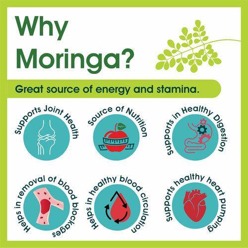 Moringa Leaves Powder Moringa oleifera