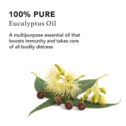 Eucalyptus Pure Essential Oil