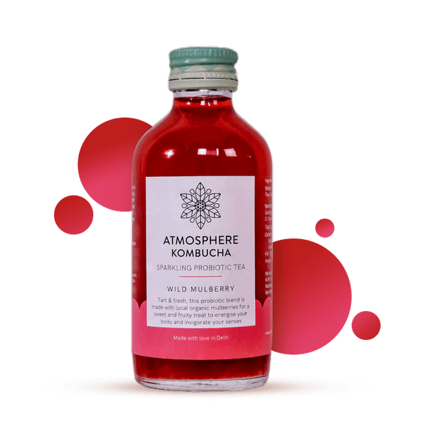 Wild Mulberry Kombucha  <DELHI MUMBAI BANGALORE HYDERABAD JAIPUR AND PUNE ONLY>