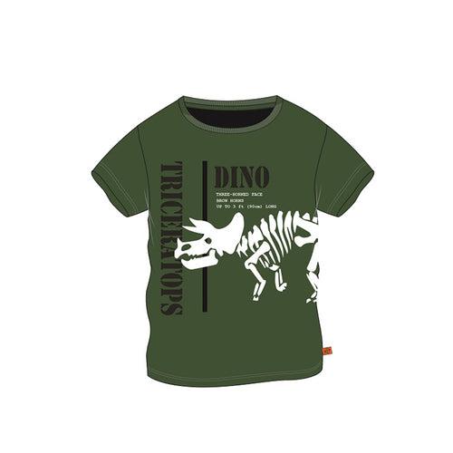  Boys half sleeve DINOS foam printed tee, Green