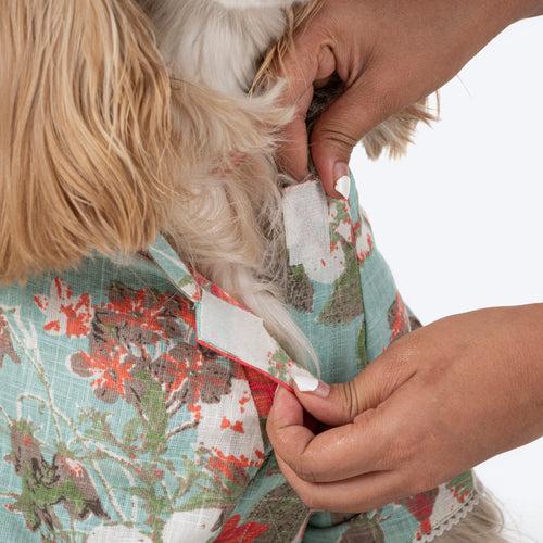 HUFT Printed Shirt For Dog - Multicolour