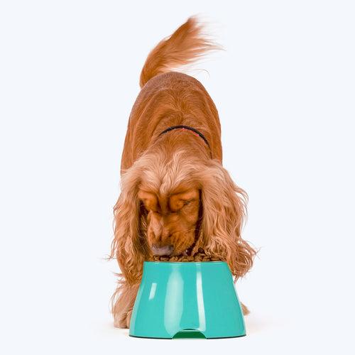 HUFT Elevated Bowl For Dogs & Cats - Aqua