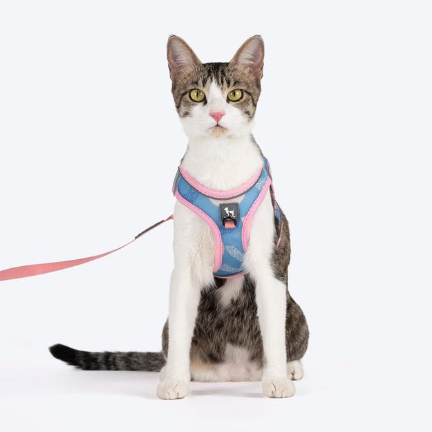 HUFT Easy Breezy Step-In Harness & Leash Set For Cat - Crescent Blue