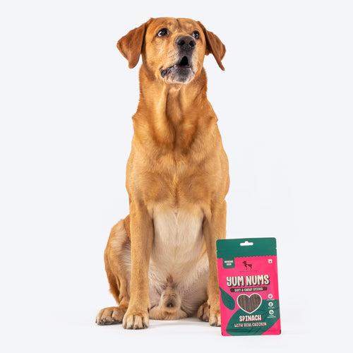 HUFT Yum Nums Soft & Chewy Sticks Spinach With Real Chicken Treat For Dogs - 75 g