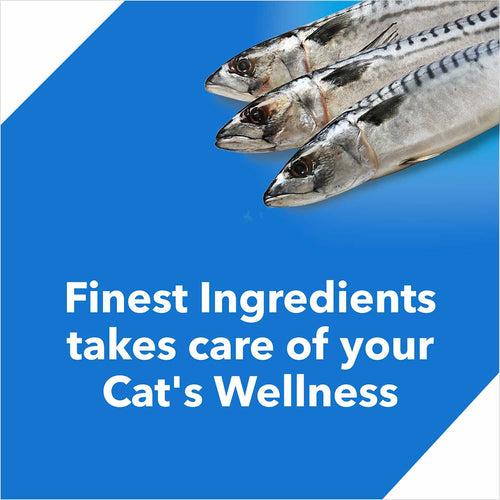 Drools Adult (+1 Year) Ocean Fish Dry Cat Food