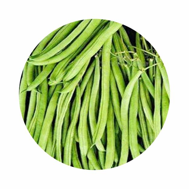 Organic Lobia Beans (चावला फली)