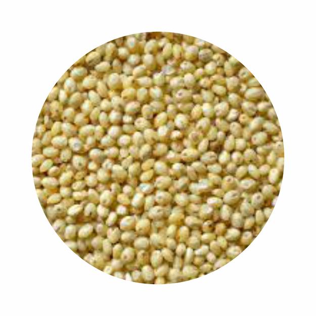 Organic Porso Millet (बर्री / चेन्ना)