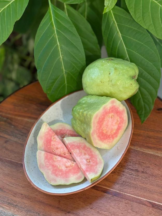 Thai Guava 500gms - Imported