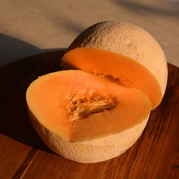 Organic Muskmelon