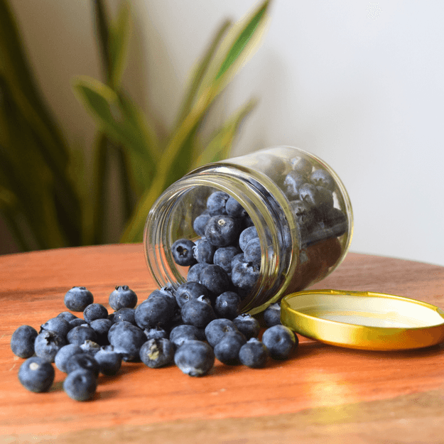 Blueberries 125 gms - Imported