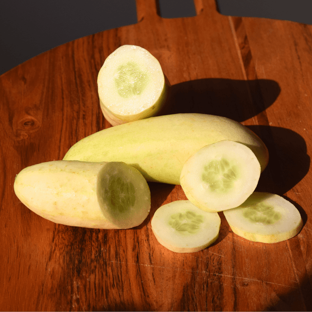 Cucumber