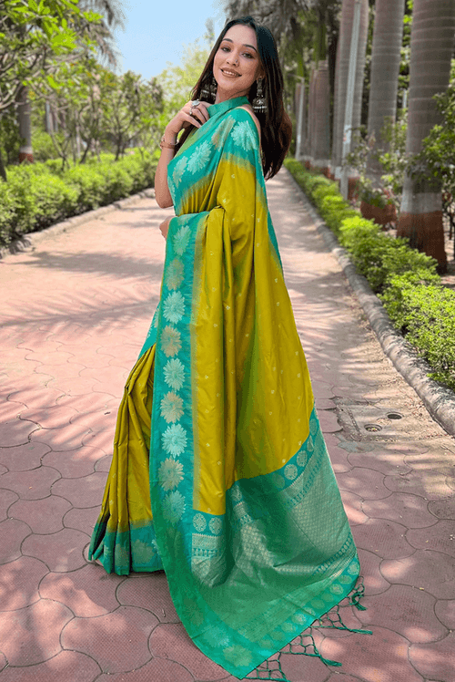 Aahana - Olive (SAREE)