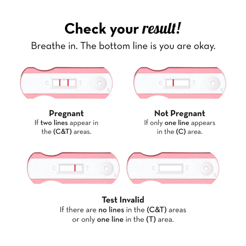 Preg Oh! Basic Pregnancy kit (Pack of 3)